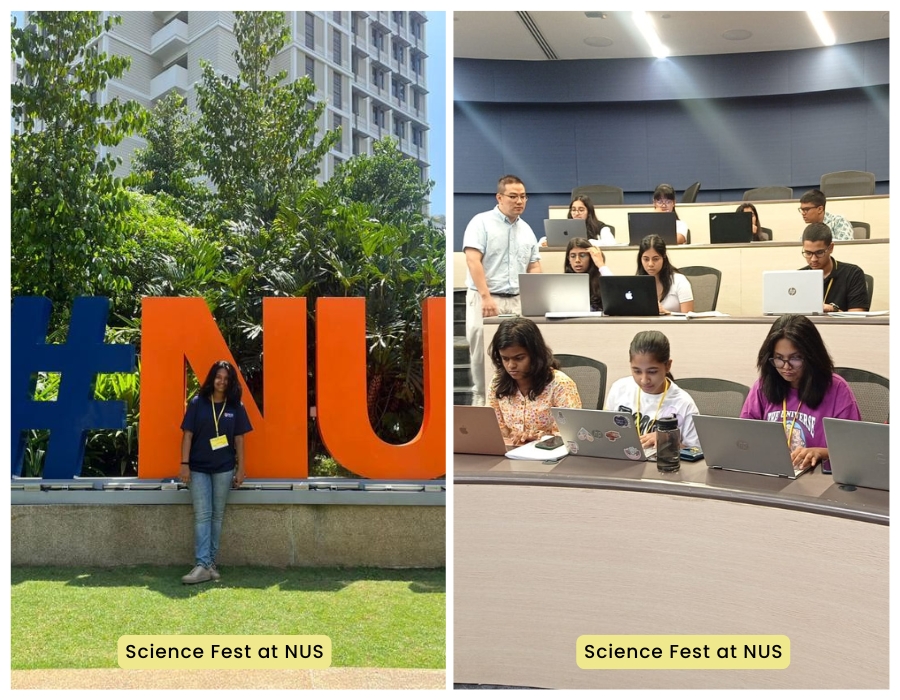 nus